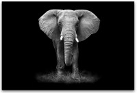 Elefanten Portrait Wandbild in verschiedenen Größen