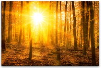Sonnenuntergang in Wäldern Wandbild in verschiedenen Größen