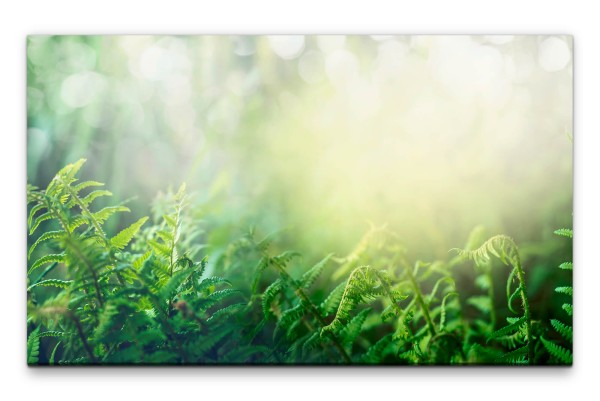 Bilder XXL Farn Wandbild auf Leinwand