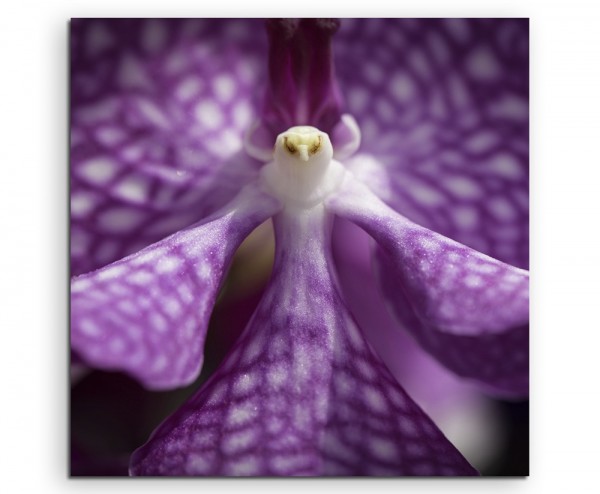 Naturfotografie – Lila Orchidee in Vogelform auf Leinwand