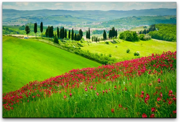 Berg mit roten Blumen Wandbild in verschiedenen Größen