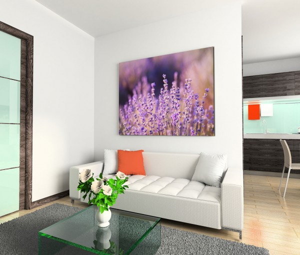 120x80cm Wandbild Lavendel Wiese Feld Sommer