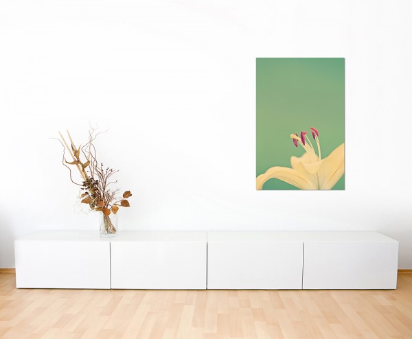 120x60cm Lilie Blüte Blume