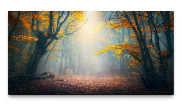 Bilder XXL Herbstwaldlichtung 50x100cm Wandbild auf Leinwand
