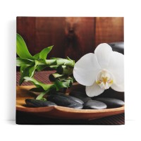 Feng Shui Orchidee weiße Blüte schwarze Steine Harmonie