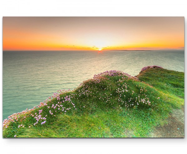 Landschaftsfotografie Klippe mit rosa Blüten bei Sonnenuntergang - Leinwandbild