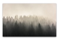 Bilder XXL Bäume im Nebel Wandbild auf Leinwand