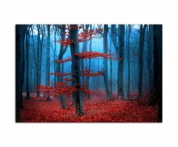 120x80cm Wald Bäume Blätter Nebel Herbst