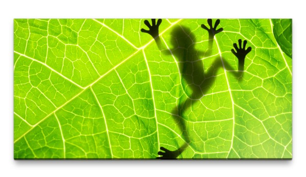 Bilder XXL Froschsilouette 50x100cm Wandbild auf Leinwand