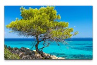 Bilder XXL Baum am Meer Wandbild auf Leinwand