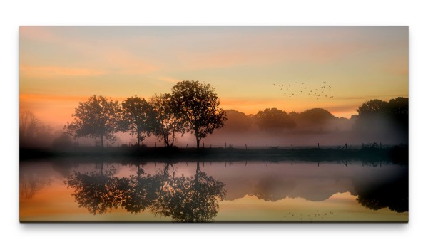 Bilder XXL Bäume im Herbst 50x100cm Wandbild auf Leinwand