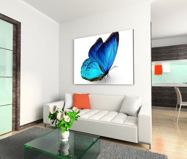 120x80cm Wandbild Schmetterling Nahaufnahme blau