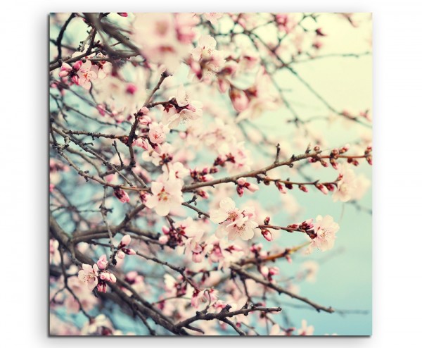 Naturfotografie – Rosa Kirschblüten auf Leinwand