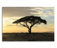 120x80cm Wandbild Afrika Savanne Baum Sonnenuntergang
