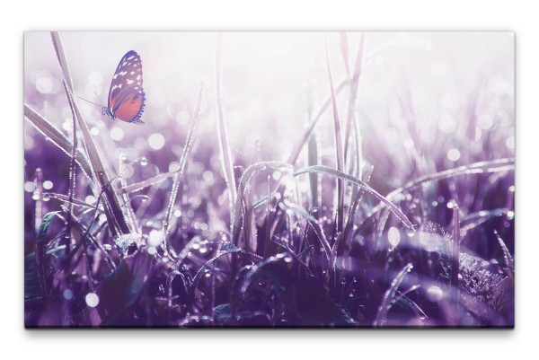 Bilder XXL Schmetterling im Gras Wandbild auf Leinwand