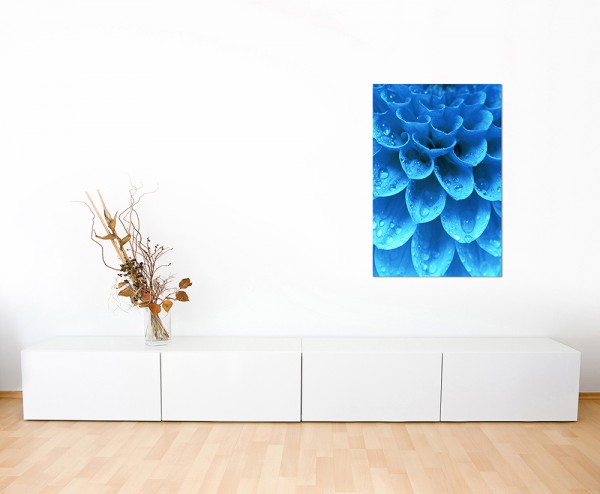 120x80cm Pflanze Blütenblätter Wassertropfen blau