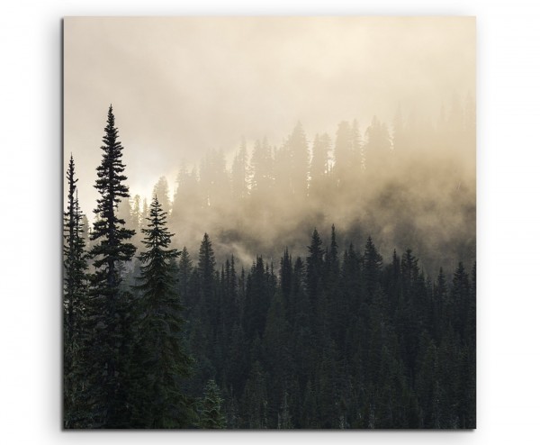 Landschaftsfotografie  Nebel im Tannenwald auf Leinwand exklusives Wandbild moderne Fotografie für