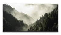 Bilder XXL Wald im Nebel 50x100cm Wandbild auf Leinwand