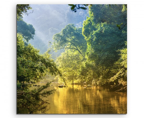 Landschaftsfotografie  Tropischer Regenwald mit Fluss auf Leinwand exklusives Wandbild moderne Fot