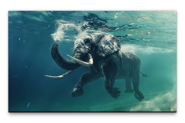 Bilder XXL Elefant unter Wasser Wandbild auf Leinwand