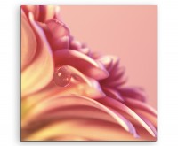 Naturfotografie – Detailaufnahme Wassertropfen auf pinker blumen auf Leinwand