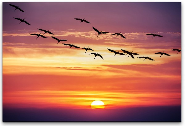 Vögel im Sonnenuntergang Wandbild in verschiedenen Größen