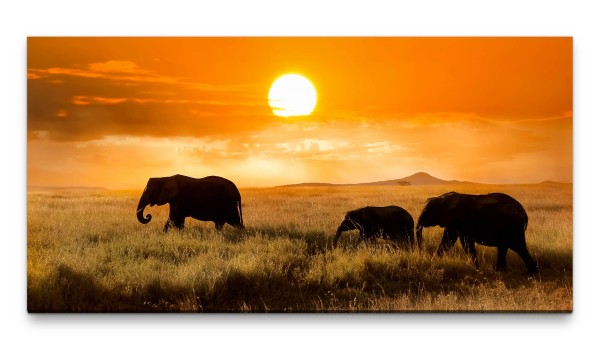 Bilder XXL Elefantenfamilie 50x100cm Wandbild auf Leinwand