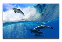 Bilder XXL Delfine im Meer Wandbild auf Leinwand