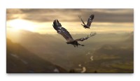Bilder XXL Adler im Gebirge 50x100cm Wandbild auf Leinwand