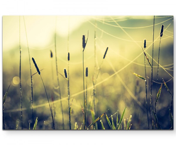 Gräser auf der Wiese - Leinwandbild