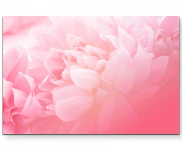 Florales Bild  soft und Rosa - Leinwandbild