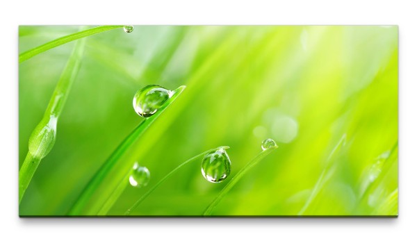 Bilder XXL Wassertropfen auf Gras 50x100cm Wandbild auf Leinwand