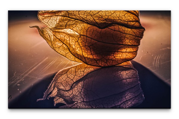 Bilder XXL Physalis geschlossen Wandbild auf Leinwand