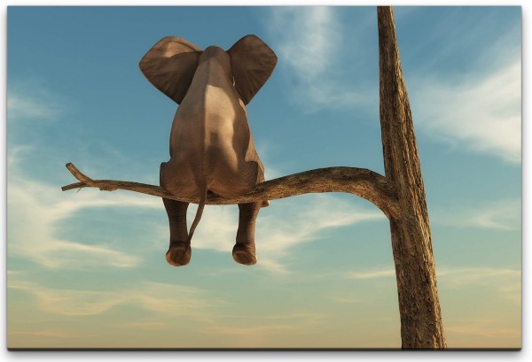 Elefant auf einem Baum Wandbild in verschiedenen Größen