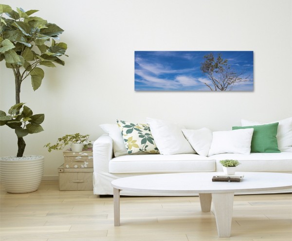 Landschaftsfotografie Baum am Baltischen Meer auf Leinwand exklusives Wandbild moderne Fotografie