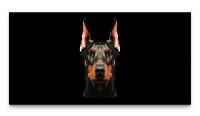 Bilder XXL Dobermann 50x100cm Wandbild auf Leinwand