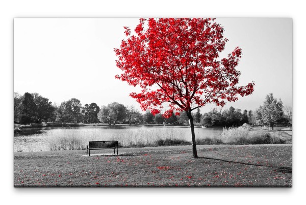 Bilder XXL Parkbank unter rotem Baum Wandbild auf Leinwand