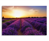 120x80cm Wandbild Frankreich Provence Lavendelfeld Sonnenuntergang