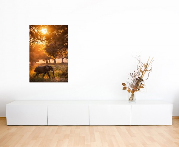 120x60cm Elefant Wald Sonnenstrahlen Wiese