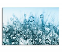 120x80cm Wandbild Pusteblume Wassertropfen Nahaufnahme