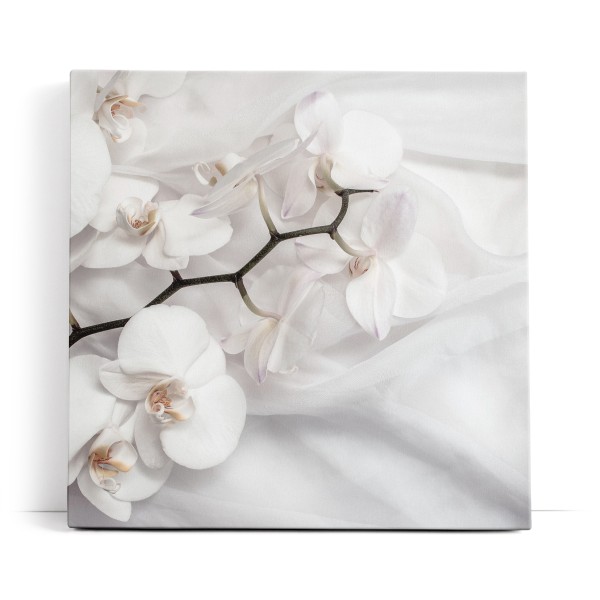 Weiß Orchidee Blumen Blüten Hell Fotokunst