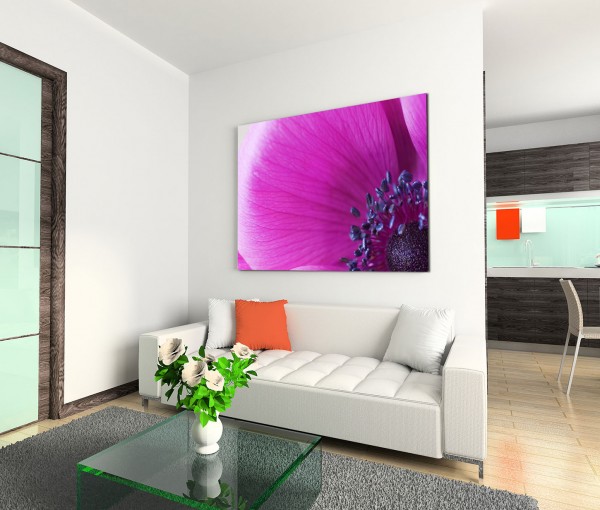 120x80cm Wandbild Anemone Blume Blüte Nahaufnahme