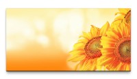 Bilder XXL Gelbe Sonnenblumen 50x100cm Wandbild auf Leinwand