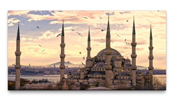 Bilder XXL Istanbul mit Vögeln 50x100cm Wandbild auf Leinwand