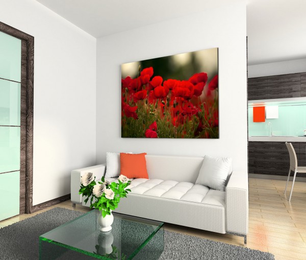 120x80cm Wandbild Kornblumen Feld Frühling