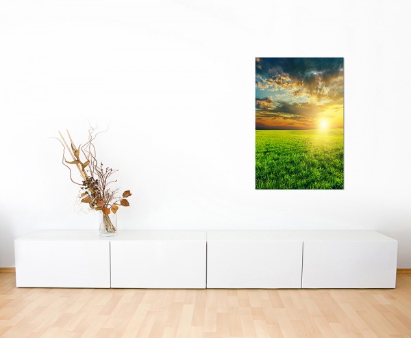 80x80cm Feld Wiese Sommer Sonnenuntergang