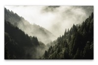 Bilder XXL Wald im Nebel Wandbild auf Leinwand