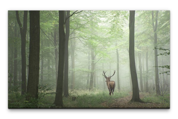 Bilder XXL Rehbock zwischen Bäumen Wandbild auf Leinwand