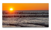 Bilder XXL Möwen im Sonnenuntergang 50x100cm Wandbild auf Leinwand