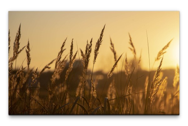 Bilder XXL Grasfeld Wandbild auf Leinwand